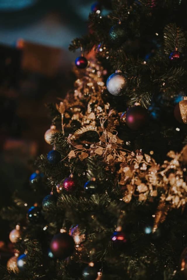 Christmas with Santa