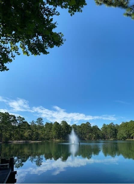Bass Lake Resort