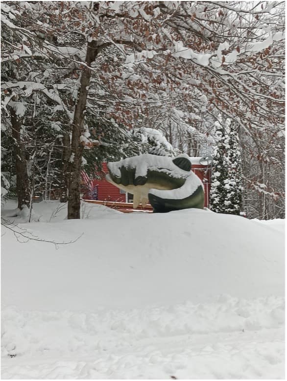 Bass Lake Resort