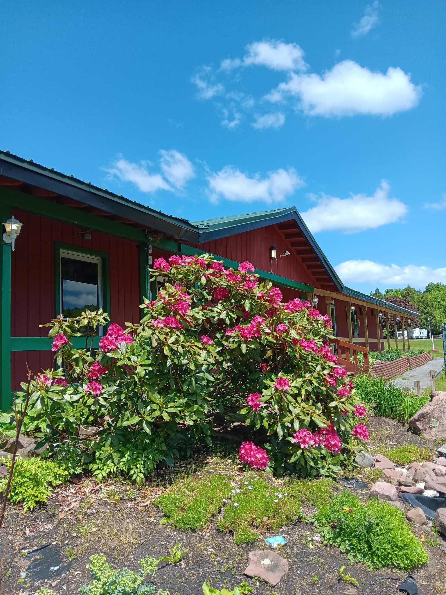 Bass Lake Resort gearing up for a great June