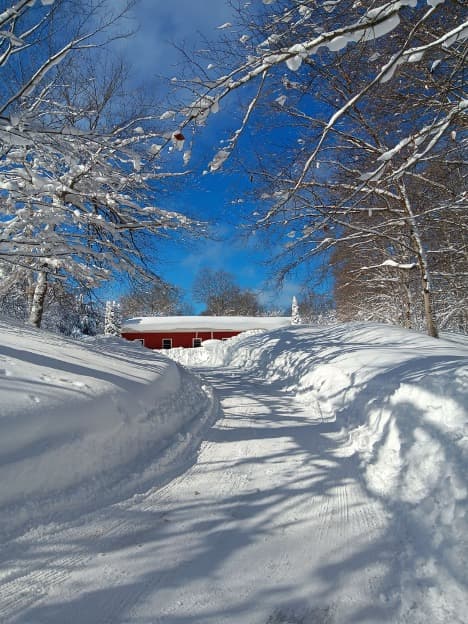 Bass Lake Resort