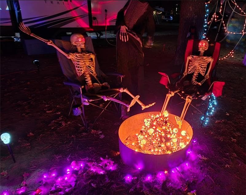 Halloween activities at Sycamore Lodge