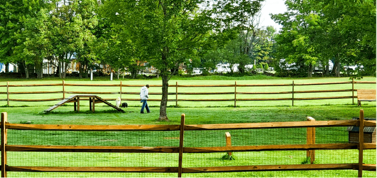 Dog Run
