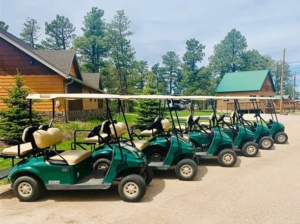 Rental Golf Carts