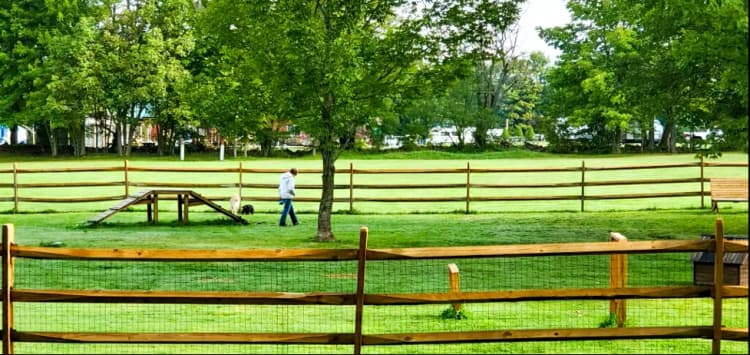 Dog Park