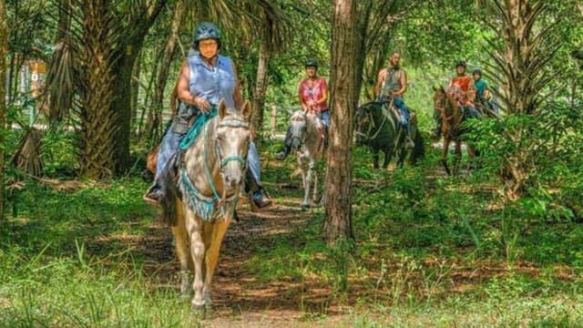 Just Horse'n Around