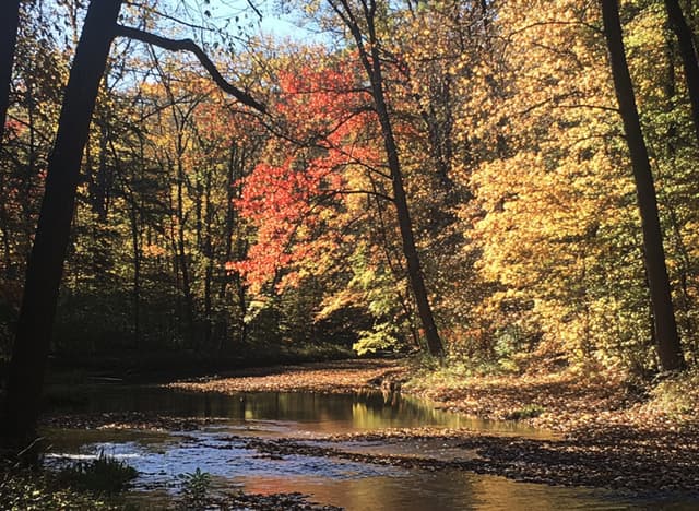 Mohican State Park