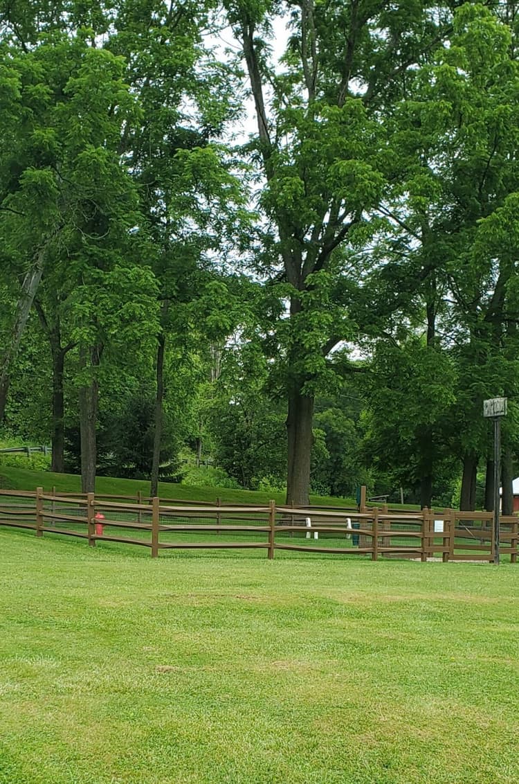 Dog Park