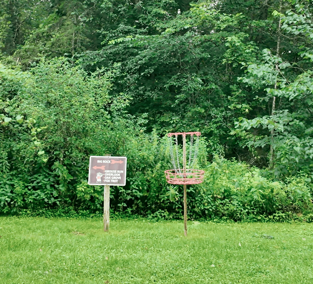 Frisbee Golf