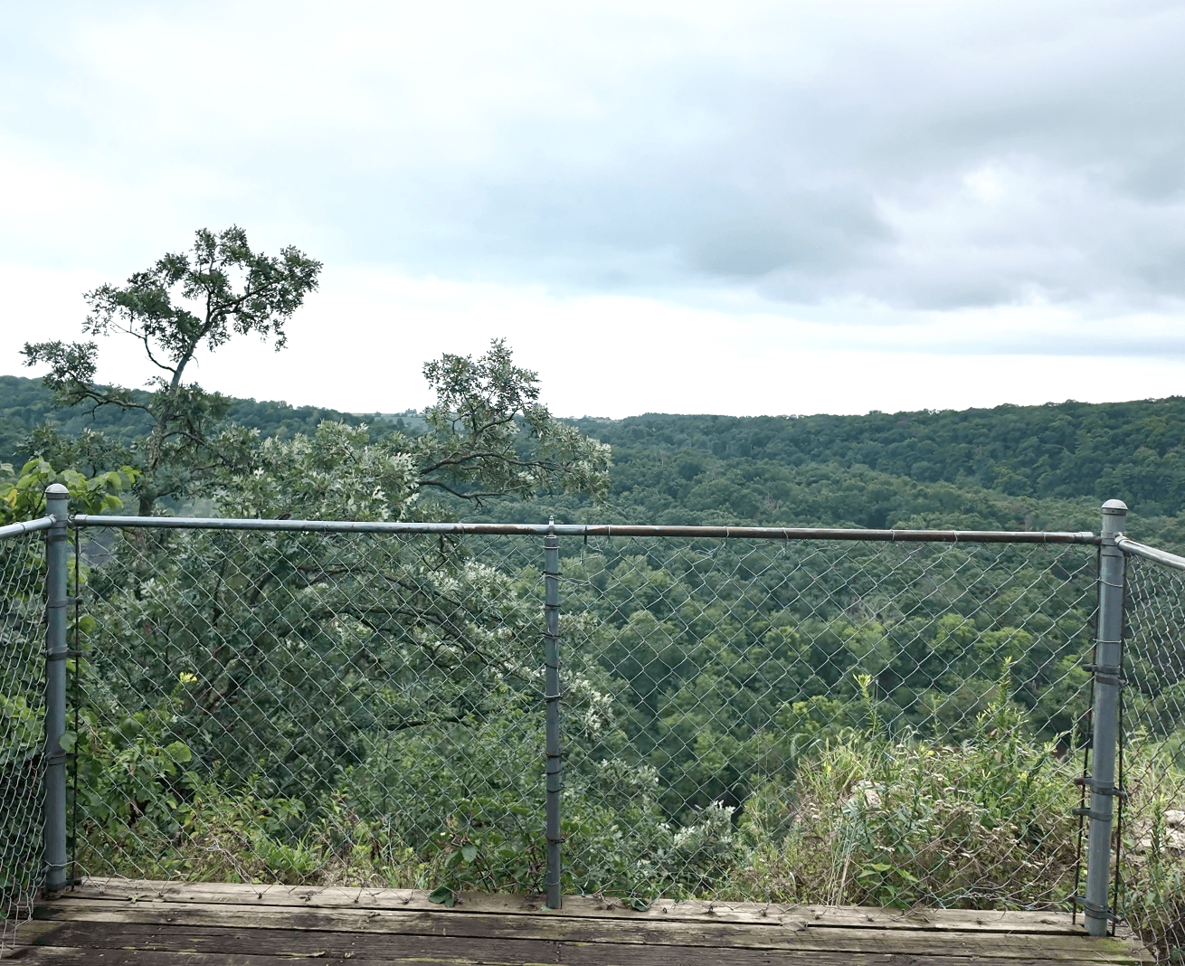 Overlook Deck