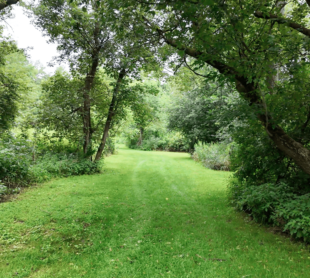 Walking & Biking Trails