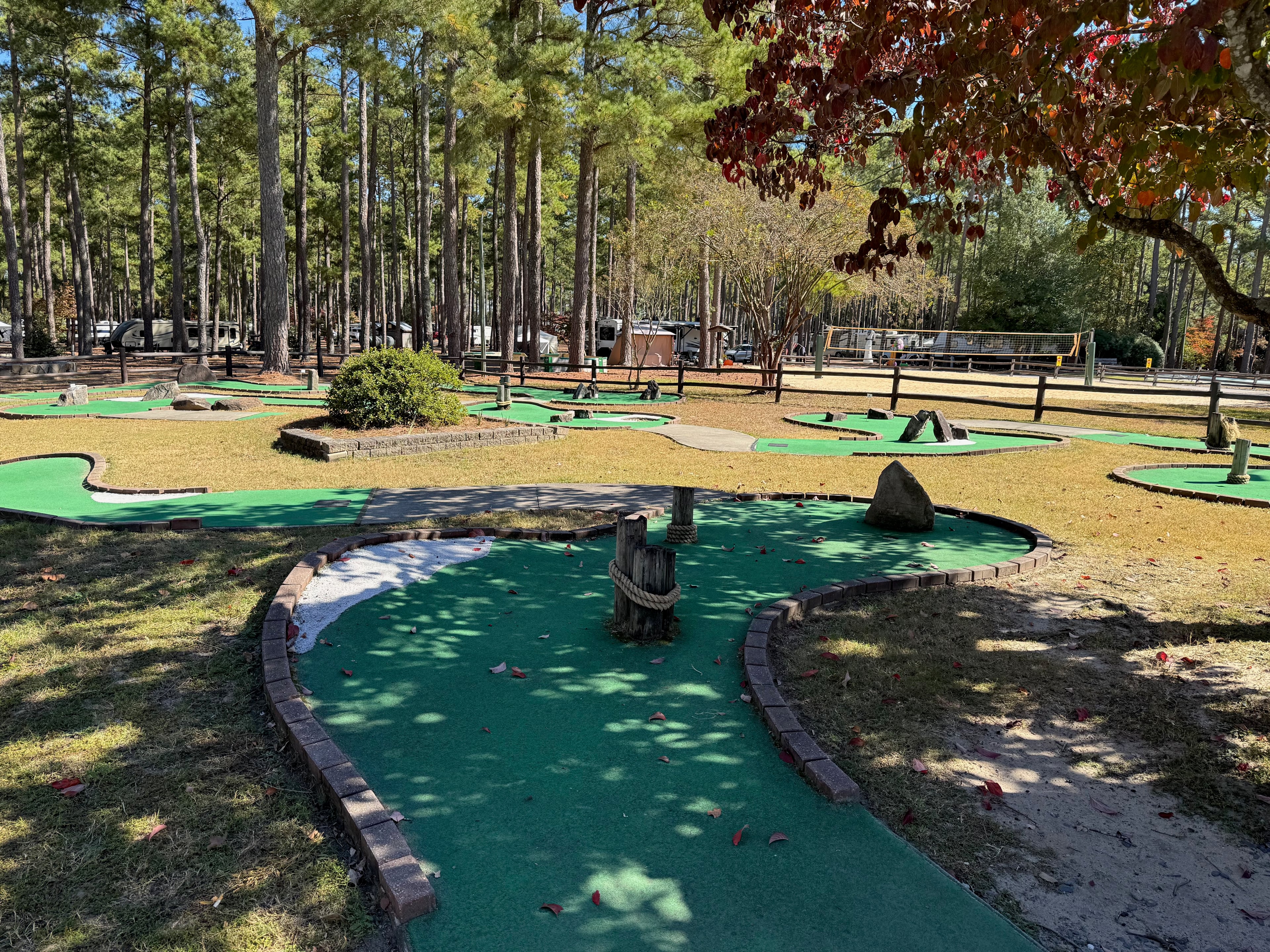 Mini-Golf & Frisbee Golf