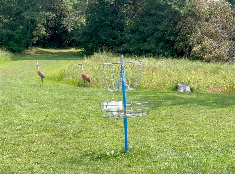 Frisbee Golf