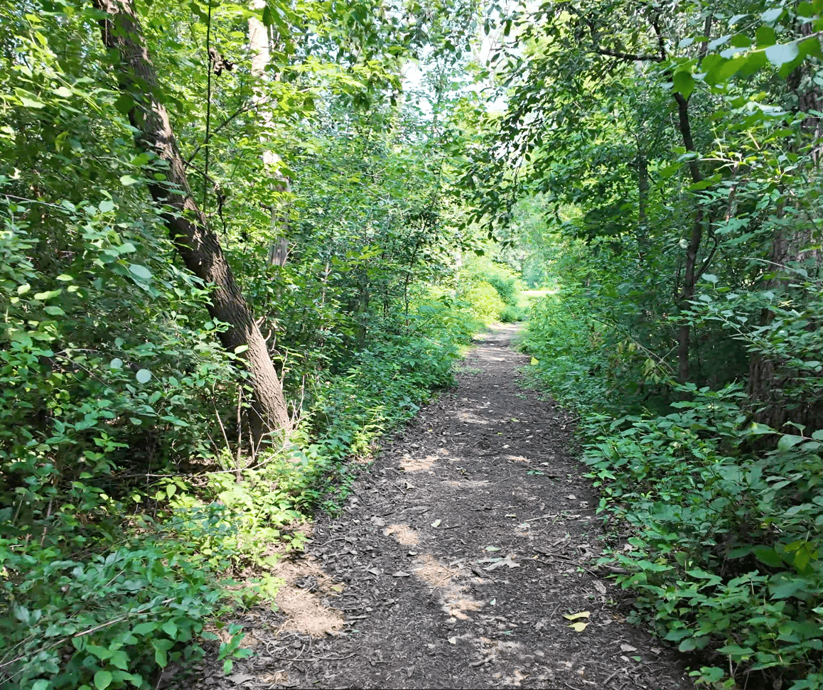 Biking and Walking Trails