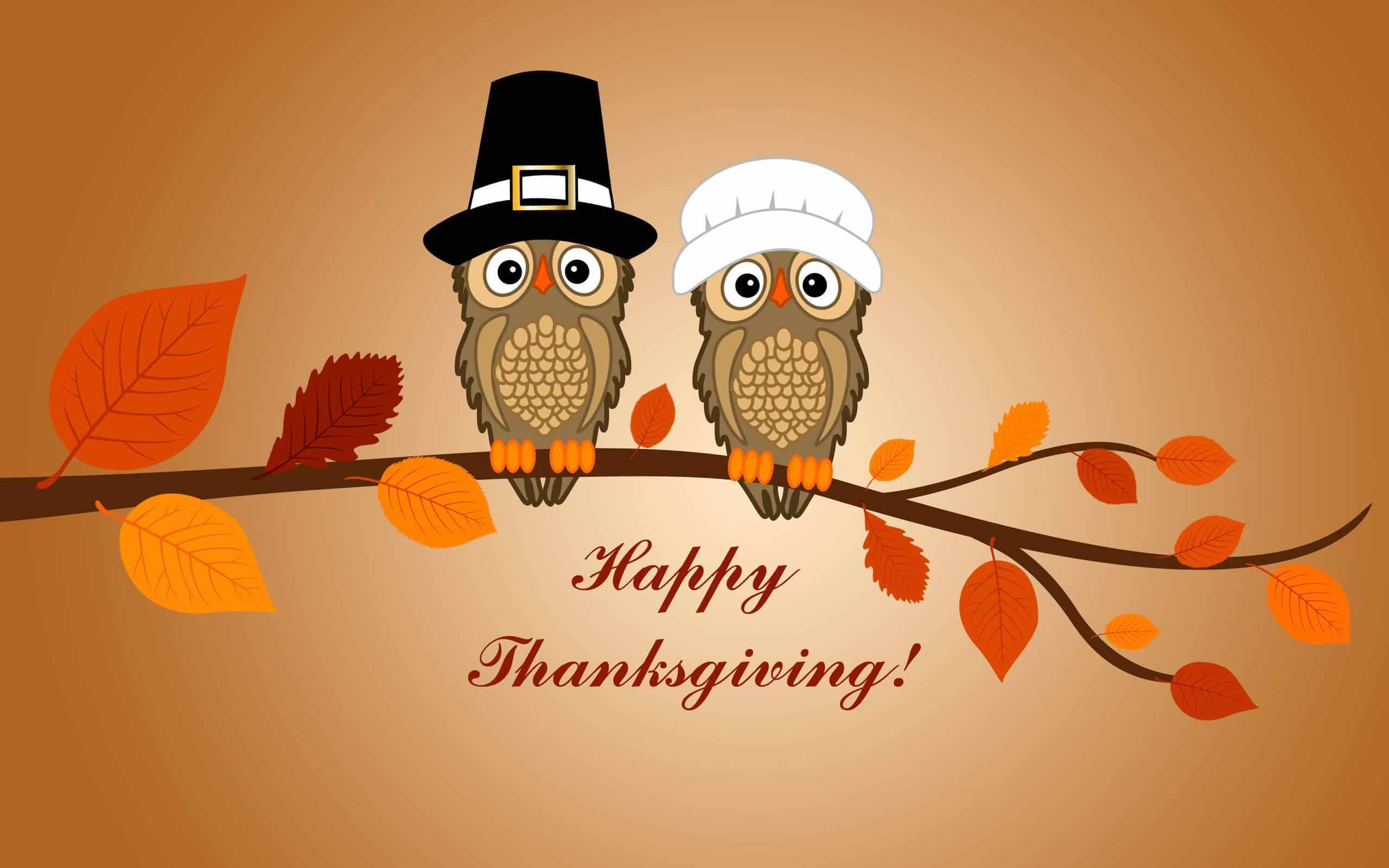 thanksgiving greeting owl couple kkartzziz2149b9l