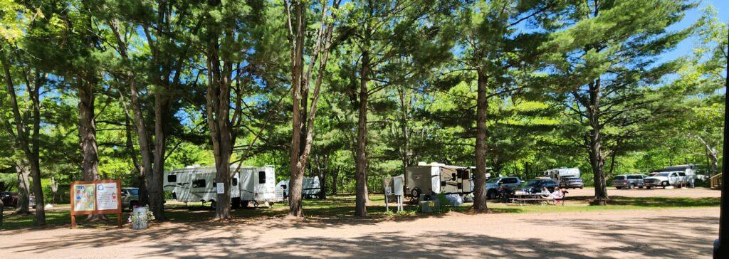 STC Campsites Under Trees June 2023